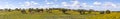 Landscape near Ourique at the coast aerea of Algarve in Portugal with olive trees, colorful fields and cork trees