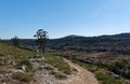 Landscape near Praia Jurassica