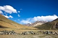 A landscape near Rangdum monastery, Zanskar Valley, Ladakh, Jammu and Kashmir, India. Royalty Free Stock Photo