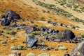 Landscape near Teide volcano, Tenerife Royalty Free Stock Photo