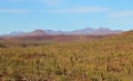 Landscape near santa rosalia in baja california sur III