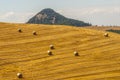 Landscape near Volterra (Tuscany) at summer Royalty Free Stock Photo