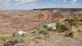 Petrified Forest Painted Desert Landscape Tour Royalty Free Stock Photo