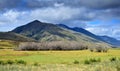 Landscape in New Zealand - dry bushes in front of the mountains. Molesworth Station, South Island Royalty Free Stock Photo