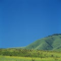 Landscape of crater ngoro ngoro in tanzania Royalty Free Stock Photo