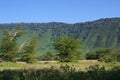 Landscape in the Ngorongoro crater in Tanzania Royalty Free Stock Photo