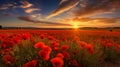 Landscape with nice sunset over poppy field, AI Generative