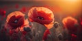 Landscape with nice sunset over poppy field - panorama, AI Generated Royalty Free Stock Photo