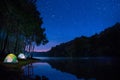 Landscape of Night camping with stars in Pang ung pine woods for