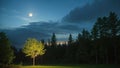 Landscape, night forest and moon. forest glade. Royalty Free Stock Photo