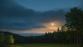 Landscape, night forest and moon. forest glade. Royalty Free Stock Photo