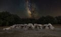 Landscape at night with Neolithic Tomb dolmen D53 and background full of stars from the Galaxy