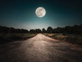 Landscape of night sky and bright full moon. Asphalt road leading into the forest at night. Serenity background Royalty Free Stock Photo