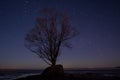 Landscape with night starry sky and silhouette of tree on the hill. Aurora Borealis  Northern light with lonely tree, falling st Royalty Free Stock Photo