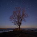Landscape with night starry sky and silhouette of tree on the hill. Aurora Borealis  Northern light with lonely tree, falling st Royalty Free Stock Photo