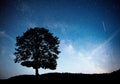 Landscape with night starry sky and silhouette of tree on the hill. Milky way with lonely tree, falling stars. Royalty Free Stock Photo