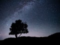 Landscape with night starry sky and silhouette of tree on the hill. Milky way with lonely tree, falling stars. Royalty Free Stock Photo