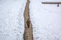 The view of Nishat Bagh Mughal Garden during winter season, Srinagar, Kashmir, India