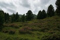 Landscape at the Nock Alp Street, Carinthia, Austria Royalty Free Stock Photo