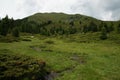 Landscape at the Nock Alp Street, Carinthia, Austria Royalty Free Stock Photo