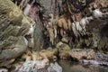 Landscape of Nok Nang Aen Cave at Lam Khlong Ngu National Park, Kanchanaburi, Unseen in Thailand