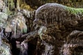 Landscape of Nok Nang Aen Cave at Lam Khlong Ngu National Park, Kanchanaburi, Unseen in Thailand