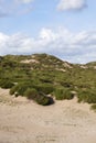 Landscape at the Noordduinen Royalty Free Stock Photo