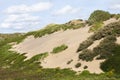 Landscape at the Noordduinen Royalty Free Stock Photo