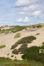 Landscape at the Noordduinen Royalty Free Stock Photo