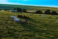 Landscape in Northern Ireland