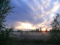 The landscape of the Northern nature. Forest at sunset