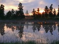 The landscape of the Northern nature. Forest at sunset. The Nadym River.