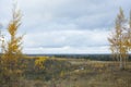 Landscape with a northern swamp in late autumn.