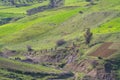 Landscape of northern Tunisia