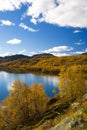 Landscape of Norway Royalty Free Stock Photo