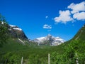 Landscape in Norway with fence, green trees, mountain with snow and blue sky Royalty Free Stock Photo