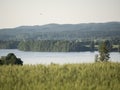 Landscape in Norway, water, trees, pure nature