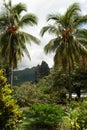 Landscape in Nuku Hiva Royalty Free Stock Photo