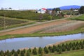 Landscape nurseries & tree farms.