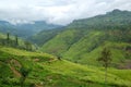 The landscape of Nuwara Eliya