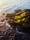 Landscape of ocean moss with rock geology and colour, similar to Skellig Island