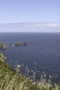 Landscape of the ocean and the sea from the grass