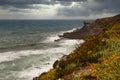 Landscape of the ocean and waves crashing on the rocks. View of the flowers blooming on the rocky slopes of the shore and the clou