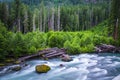 Landscape of Ohanapecosh river in Summer Mt rainier Royalty Free Stock Photo