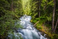 Landscape of Ohanapecosh river in Summer Mt rainier Royalty Free Stock Photo