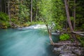 Landscape of Ohanapecosh river in Summer Mt rainier Royalty Free Stock Photo