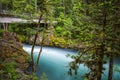 Landscape of Ohanapecosh river in Summer Mt rainier Royalty Free Stock Photo