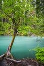 Landscape of Ohanapecosh river in Summer Mt rainier Royalty Free Stock Photo