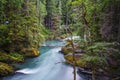 Landscape of Ohanapecosh river in Summer Mt rainier Royalty Free Stock Photo