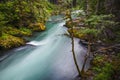 Landscape of Ohanapecosh river in Summer Mt rainier Royalty Free Stock Photo